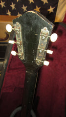 1961 Harmony Roy Smeck Stratotone Natural