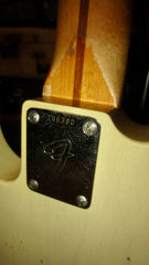 1970 Fender Telecaster Bass Blonde