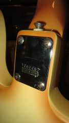 1981 Hondo Longhorn Burst w/ Original Case