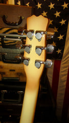1981 Hondo Longhorn Burst w/ Original Case