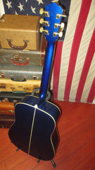 2001 Washburn D2001 "United We Stand" Blue