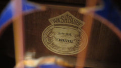 2001 Washburn D2001 "United We Stand" Blue