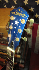 2001 Washburn D2001 "United We Stand" Blue