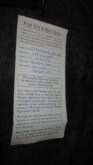 2013 Gibson ES-195 Black w/ Original Hardshell Case