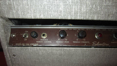 Vintage 1950's Silvertone Model 1346 Twin 12 Combo Amp