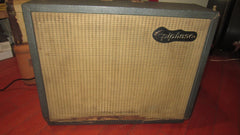 ~1966 Epiphone EA-7P Professional Amp Grey