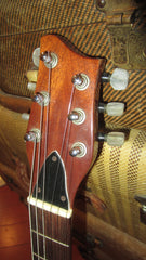 1981 Hofner Shorty Walnut