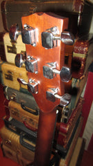 Jasmine J-34 C Auditorium Sized Acoustic with Solid Top