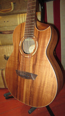 2021 Washburn Comfort Series WCGM55K Acoustic Natural