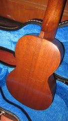 1920 Gibson The Gibson Model 1 Natural