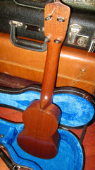 1920 Gibson The Gibson Model 1 Natural