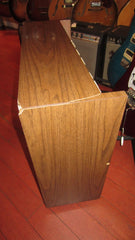 1957 Magnatone Custom 260 2 x 12" Combo Amp Brown
