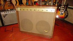 1957 Magnatone Custom 260 2 x 12" Combo Amp Brown