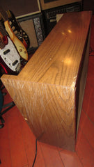 1957 Magnatone Custom 260 2 x 12" Combo Amp Brown