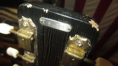 1959 National Thunderstick 3/4 Electric Silverburst w/ Original Case