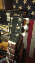 1959 National Thunderstick 3/4 Electric Silverburst w/ Original Case