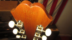 1963 Epiphone FT-30 Caballero Natural