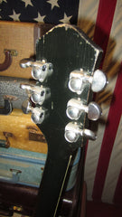 ~1964 Silvertone Model 1446 Chris Isaacs  Black