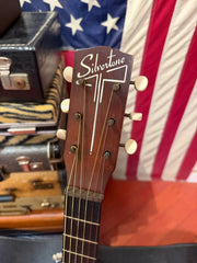 ~1964 Silvertone Parlor Guitar Natural