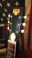 ~1965 Dobro Avalon C-60E Acoustic Electric Resonator Black