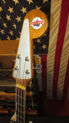 ~1966 Teiscoip  EB-100 Battleship Bass Grey w/ Hard Case