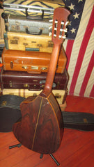 ~1968 Giannini AWN6 Craviola Natural w/ Original Case