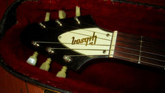 1971 Gibson Medallion Flying V #312 Cherry Red