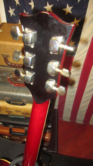 1977 Alvarez Model 5024 Dove Natural