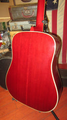 1977 Alvarez Model 5024 Dove Natural