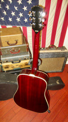 ~1979 Alvarez Model 5024 Dove Copy Natural