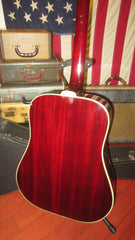 ~1979 Alvarez Model 5024 Dove Copy Natural