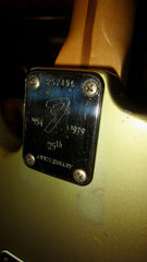 1979 Fender 25th Anniversary Stratocaster Silver