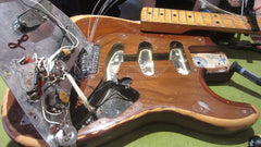 1979 Fender Stratocaster Walnut