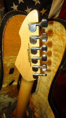 1983 Peavey Falcon Black