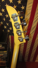 1985 Gibson Designer Series Explorer Bass White w/ Black Stripes