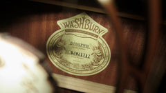 2001 Washburn  D2001 "United We Stand" White