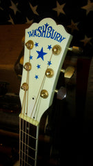 2001 Washburn  D2001 "United We Stand" White