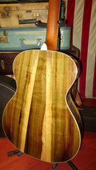 2002 Taylor LTG Liberty Tree Guitar Ltd Ed. #282 of 400 Natural w/ Case and Paperwork
