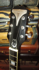 ~2001 Epiphone Alleycat Trans Black