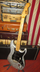 ~2010 Rick Kelly  Stratocaster Silver Sparkle