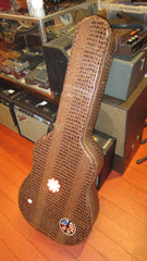 1961 Goya TS-5 Acoustic 12 String Natural