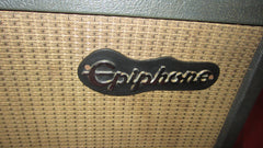 ~1966 Epiphone EA-7P Professional Amp Grey