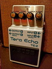 2019 Boss Tera Echo TE-2