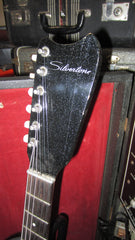 ~1964 Silvertone 1448 Amp in Case Black Faux Sparkle